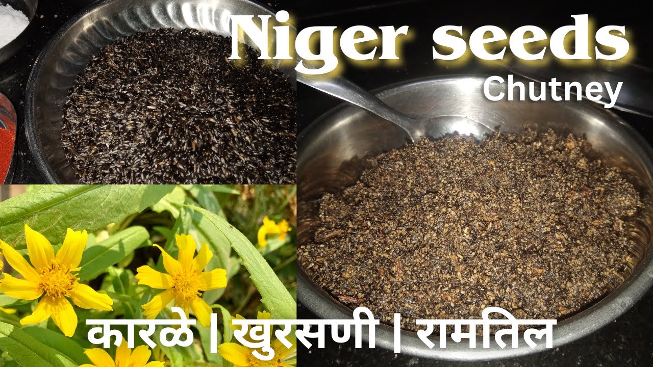 रामतील की चटणी (खुरसनी / कारळे चटणी ) | Niger seeds | Maharashtra's special type of Chutney
