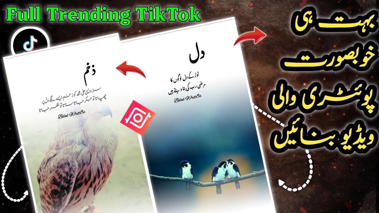 How To Make Trending White Fade Birds Poetry Video | Trending Urdu Lyrics Reels Video Editing
