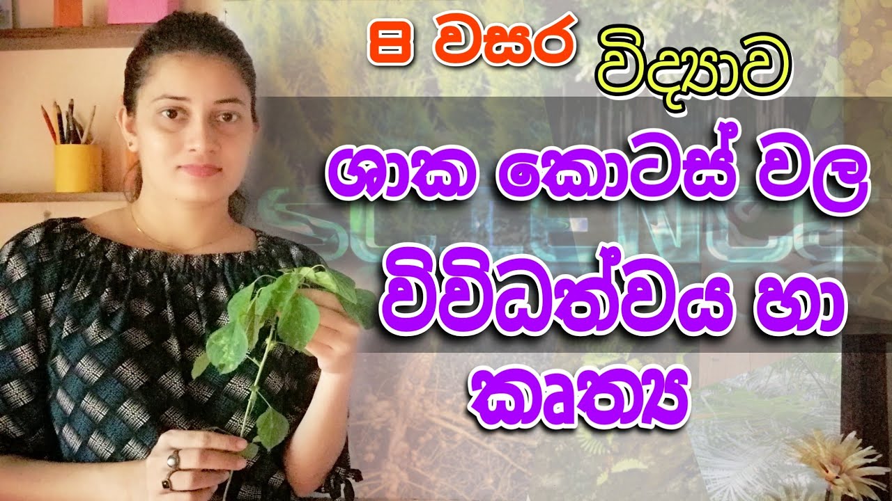 Grade 8 Science 3rd Lesson - ශාක කොටස් වල විවිධත්වය හා කෘත්‍ය | Diversity and Functions of Parts