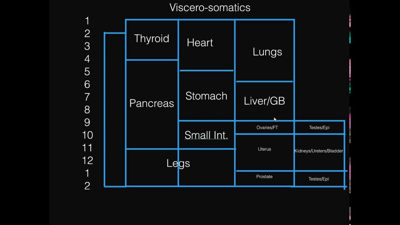 Viscero-somatics  For COMLEX Level I