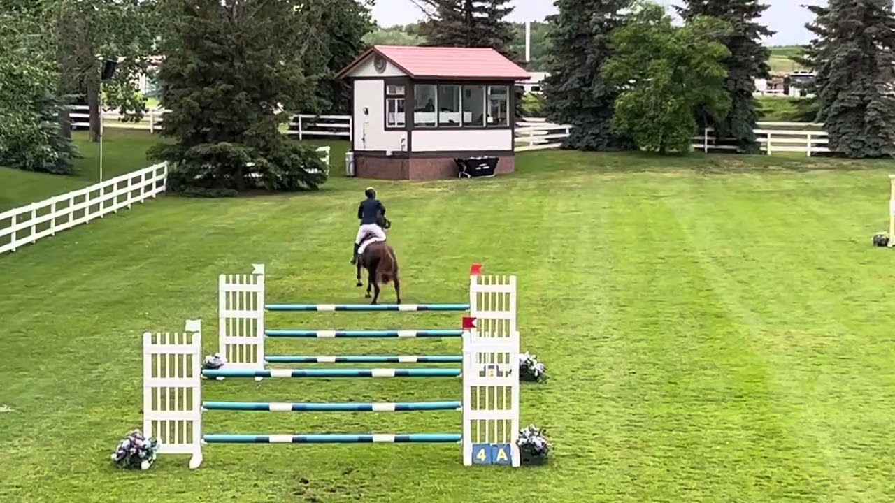 Gazelle Pvdb Z 1.30m Spruce Meadows