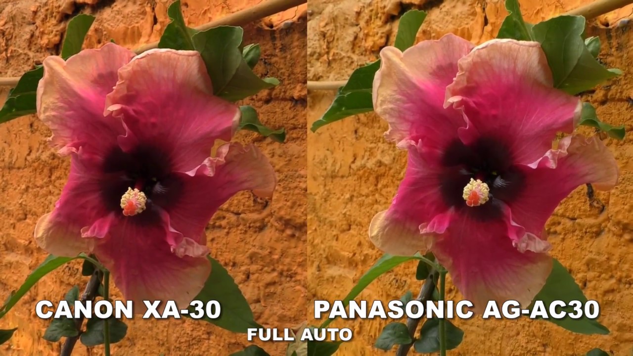 Canon XA30 vs PANASONIC AGAC30