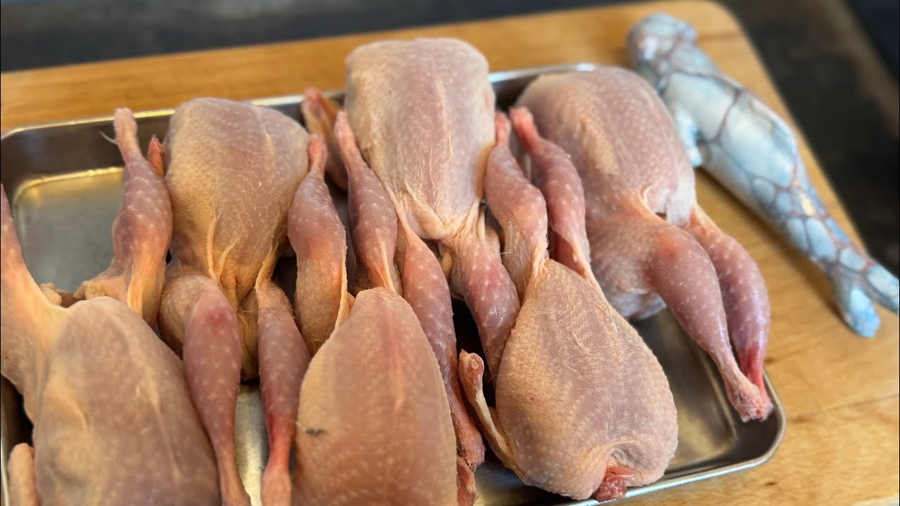Quail, split open lengthwise into one piece/鶉を背開きで一枚に