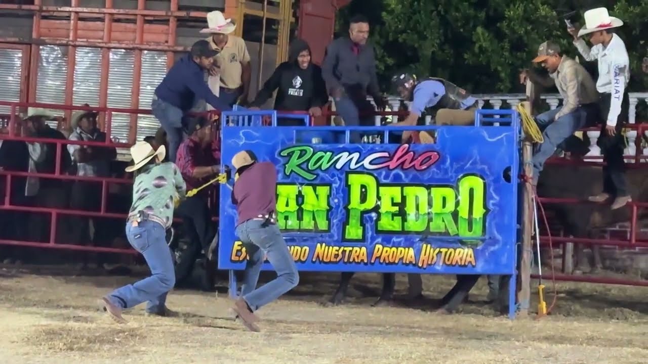 Rancho San Pedro de Olinala, Gro Jilotepec, Gro. 2026