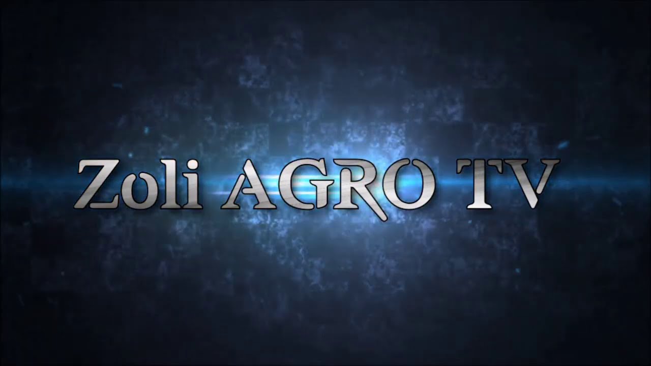 Összefoglaló 2020- as évről