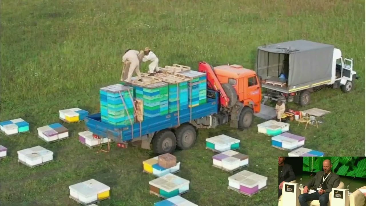 Этапы становления и экономическое обоснование при создании промышленной пасеки 2000 пчелосемей