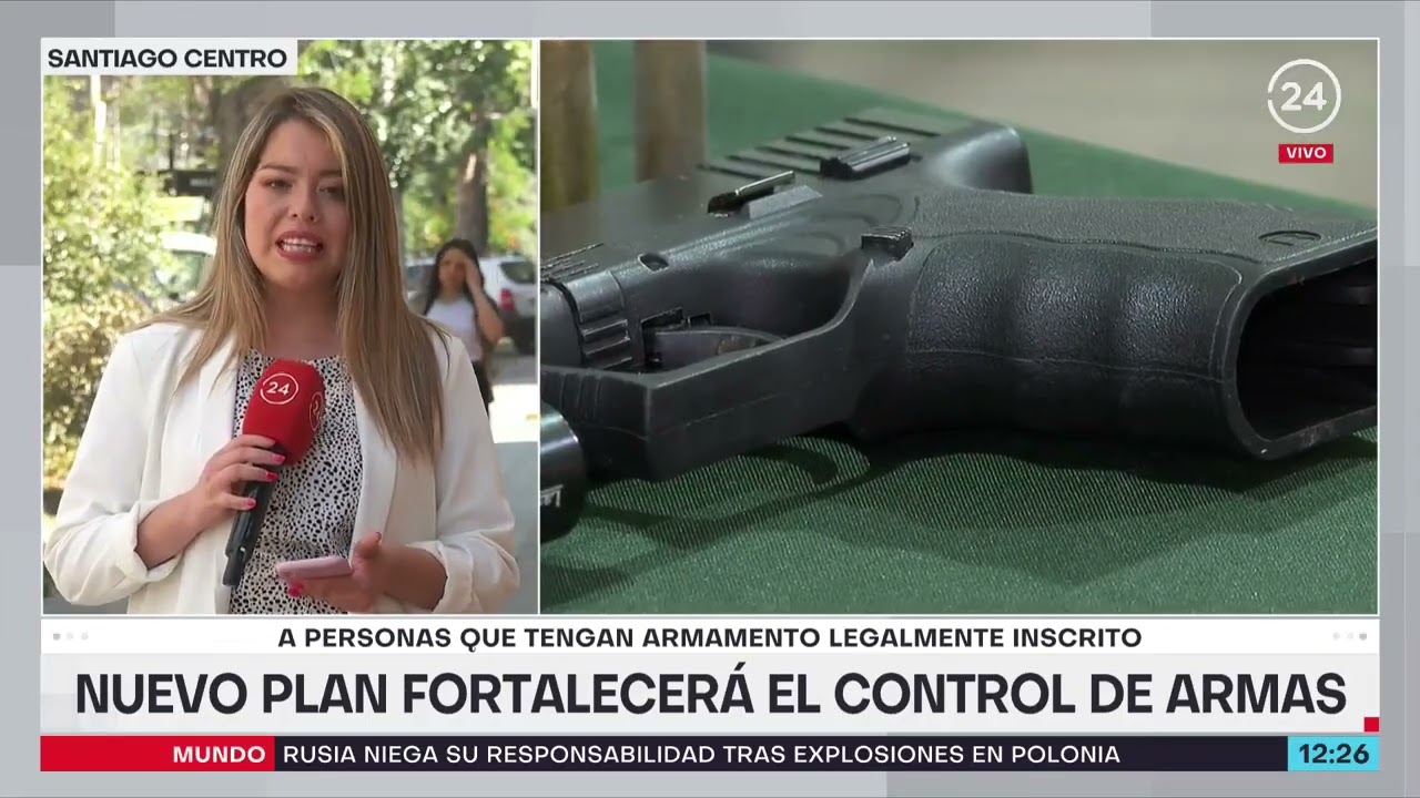 Nuevo plan del Gobierno fortalecer&aacute; el control de armas en Chile | 24 Horas TVN Chile