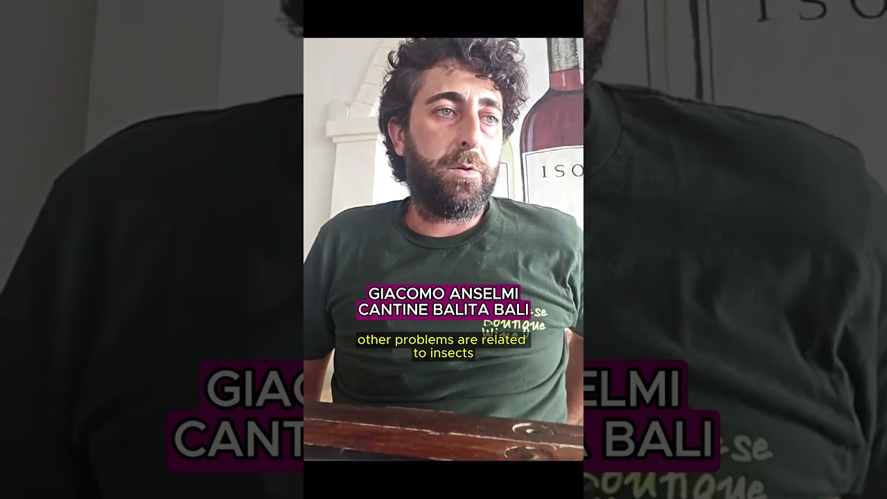 GIACOMO ANSELMI - Cantine Balita