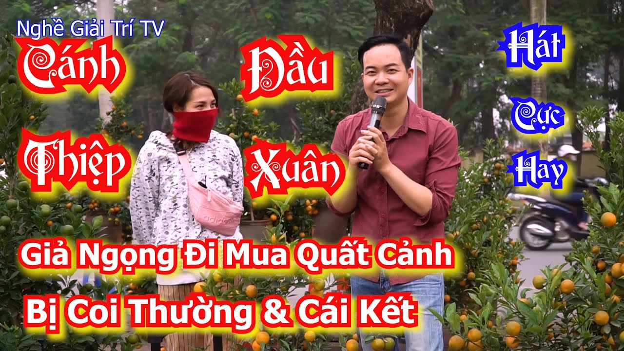 ✅ Giả Anh Ngọng Đi Mua Quất Cảnh, Bất Ngờ Hát Cực Hay [ Hoàng Hà ]