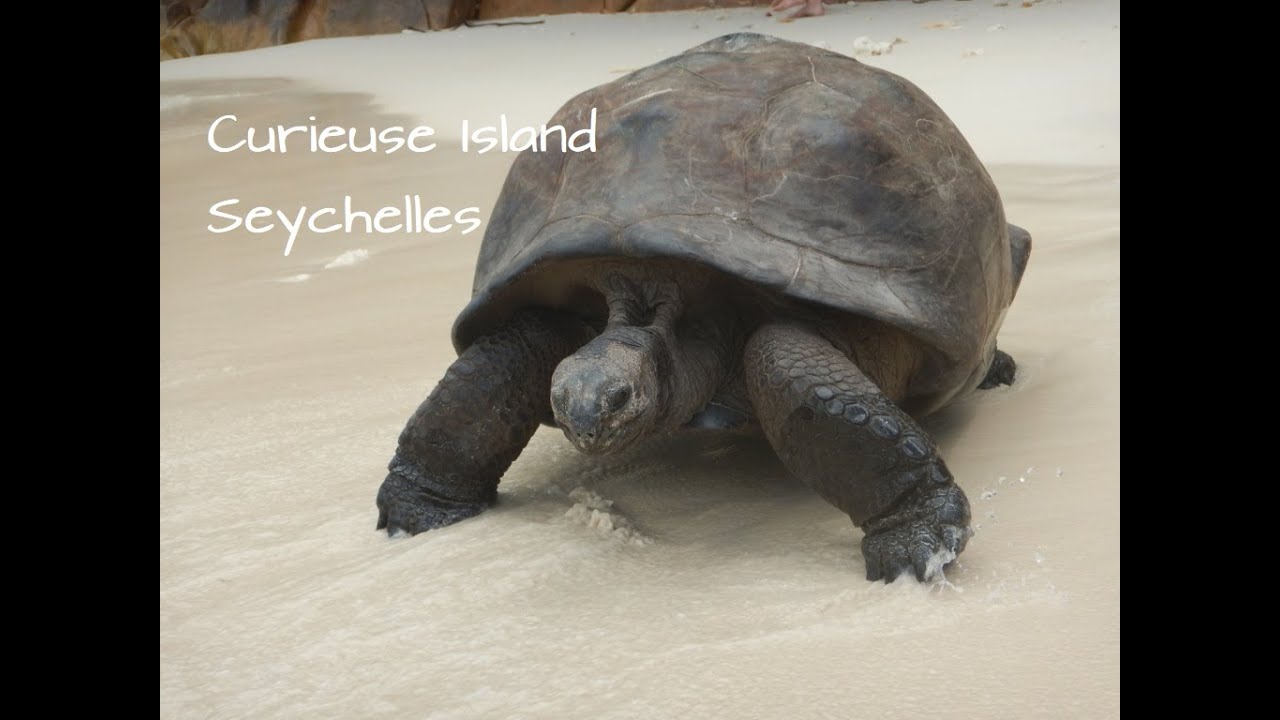 Curieuse Island