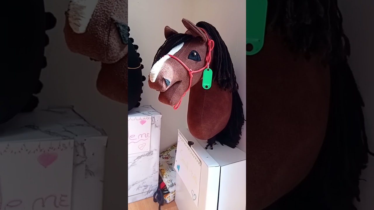 présentation de mes hobby horse