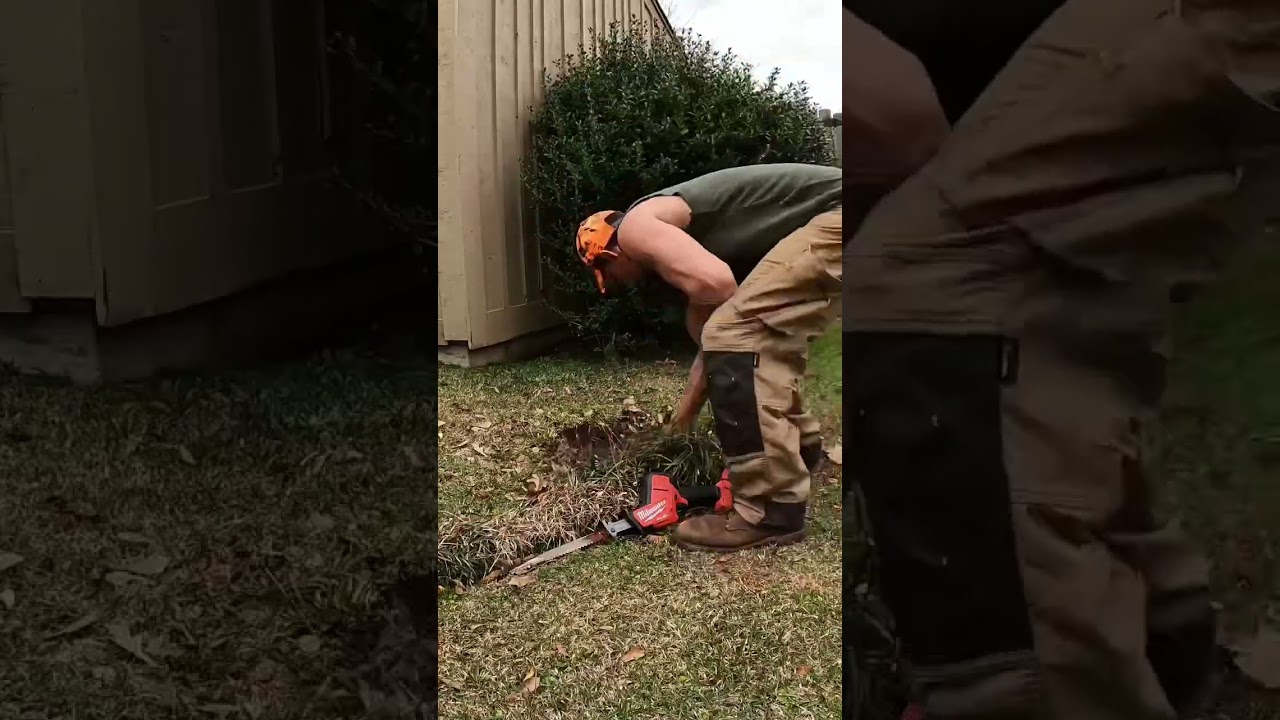 EASY HACK To REMOVE ANY Bush #lawncare #shorts #bushes #yardcleanup #grasscutting #lawncarelife