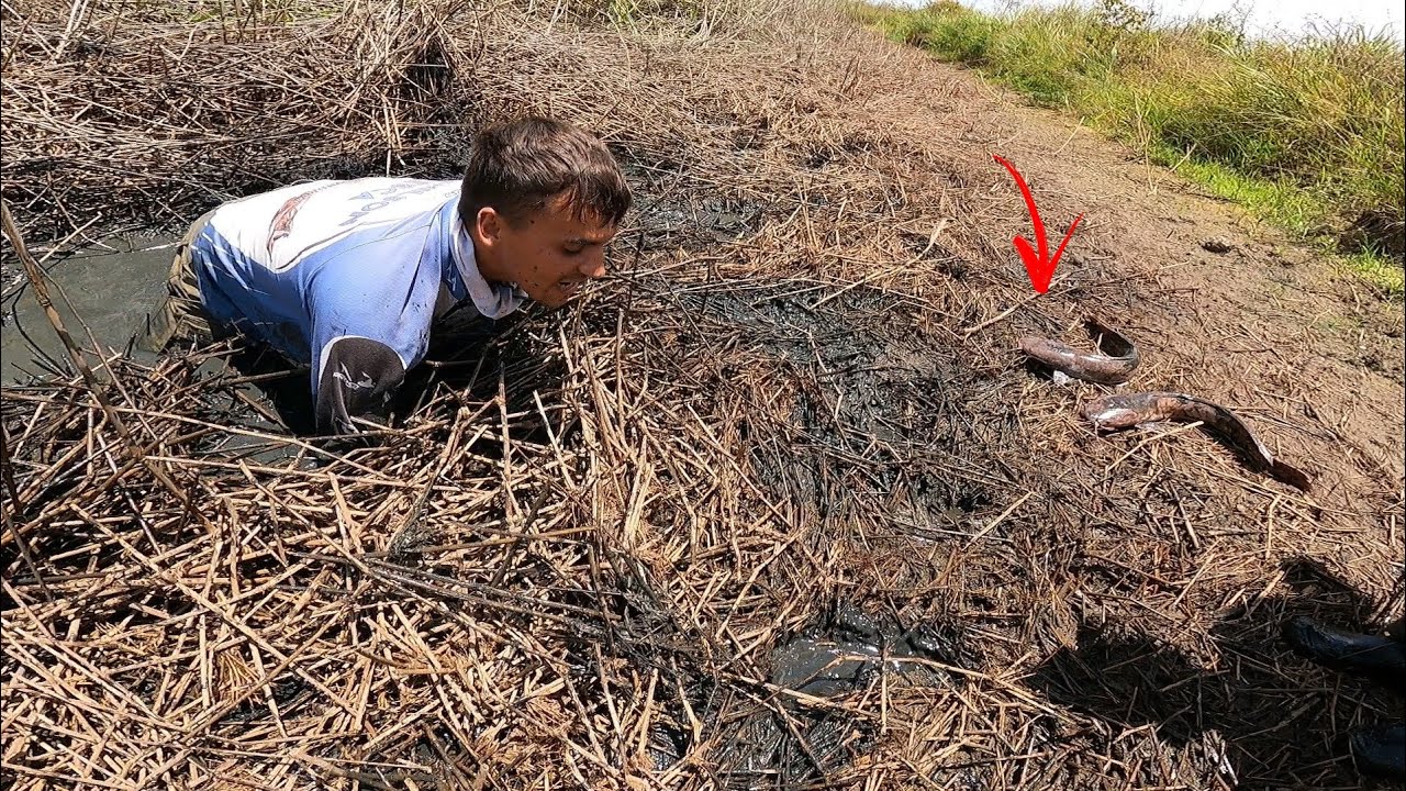 Os peixe estavam saindo de dentro da terra! Se eu não tivesse filmado não teria coragem de contar!