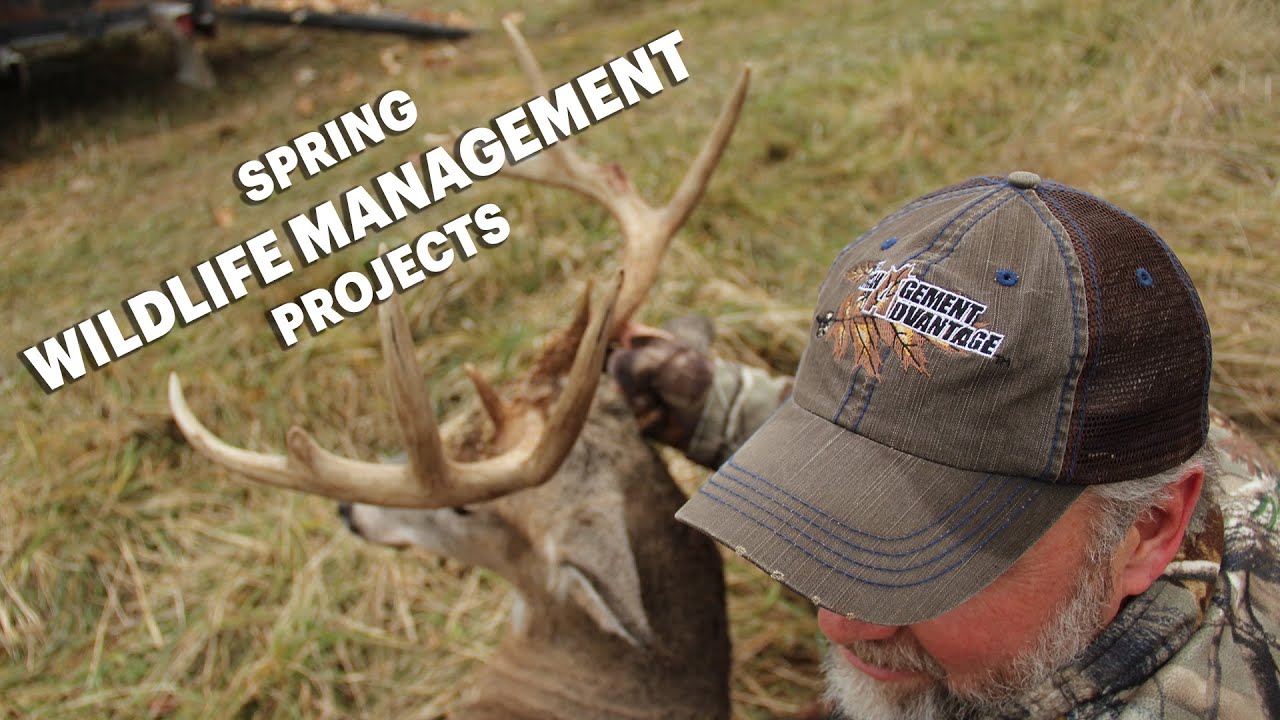 How Did The Management Advantage Come To Be And An Update On Spring Wildlife Management Projects