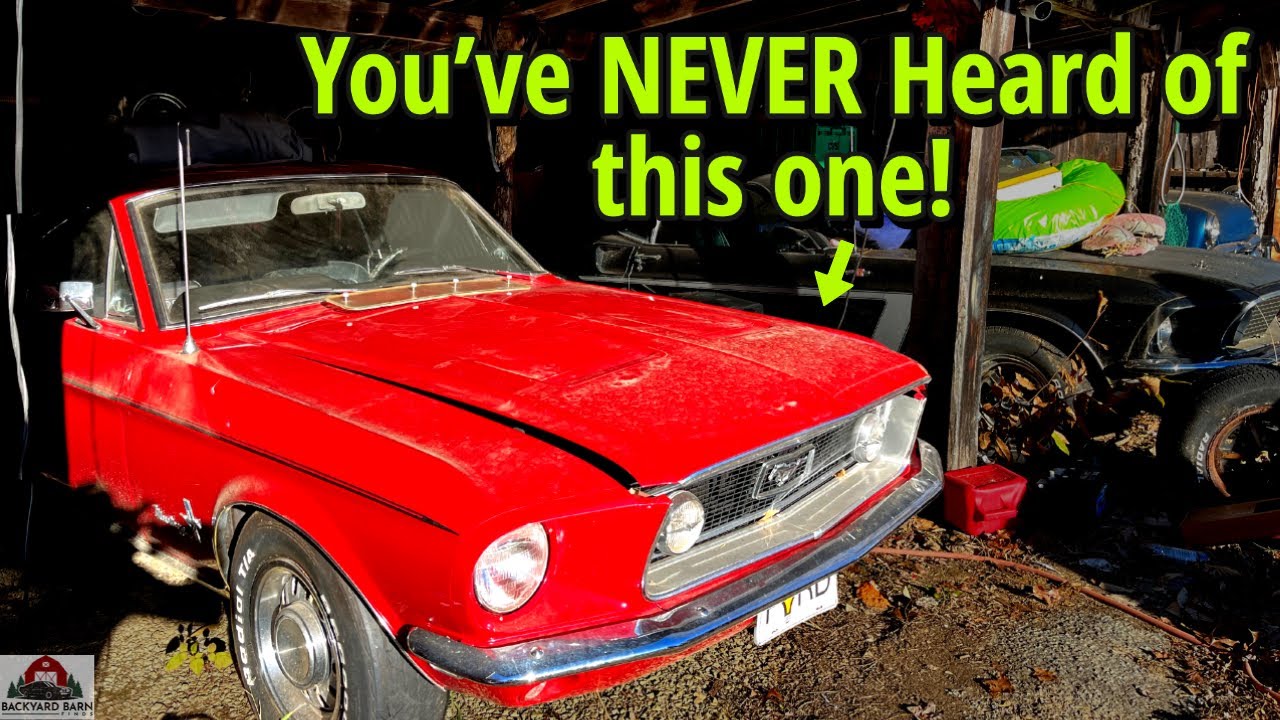 Mustang You've NEVER Heard BEFORE!! - Police car, 428 cars, 1967 Mustang Fastback