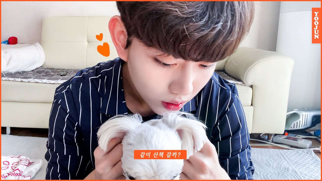 유준 YOOJUN Channel) 드디어 첫 번째 일상 브이로그 : 🏃‍♂️ 콩이랑 산책 🐶