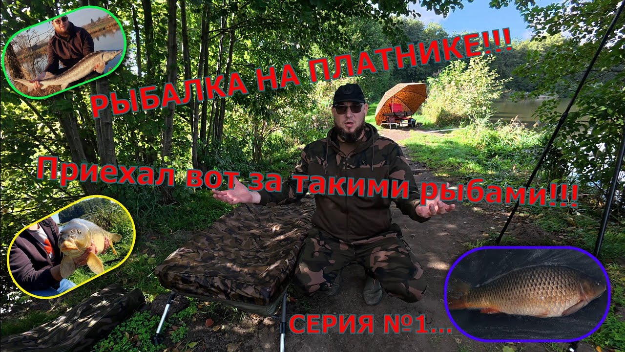 Карп фишинг на платном водоёме.. 1 СЕРИЯ...