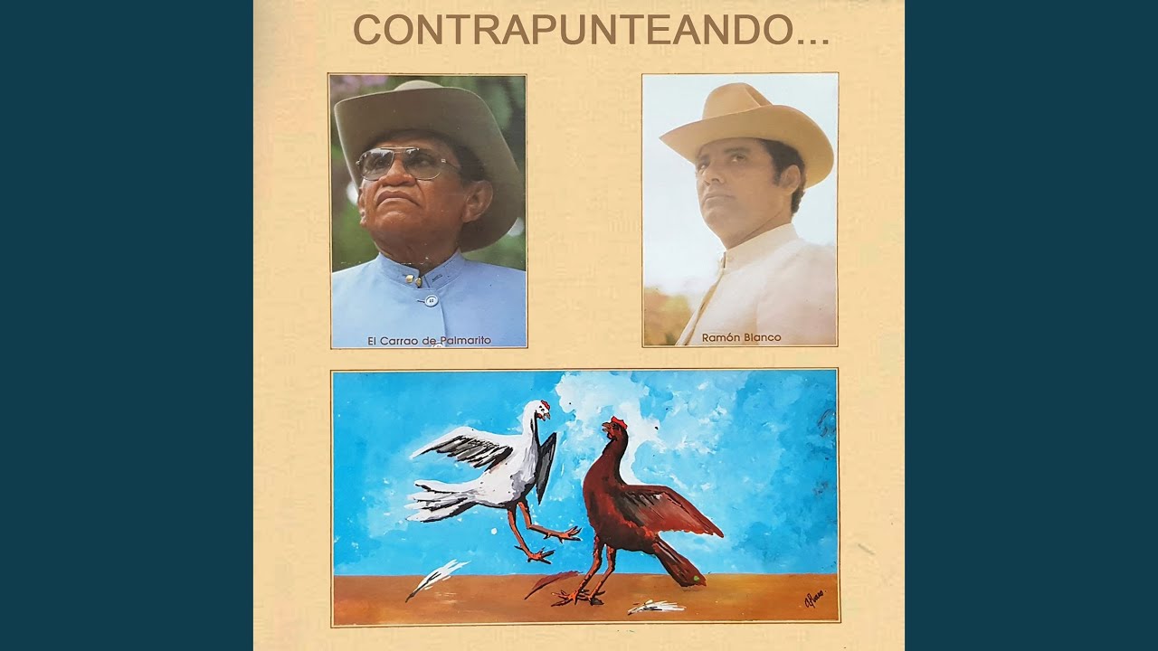 Mi Sombrero Negro
