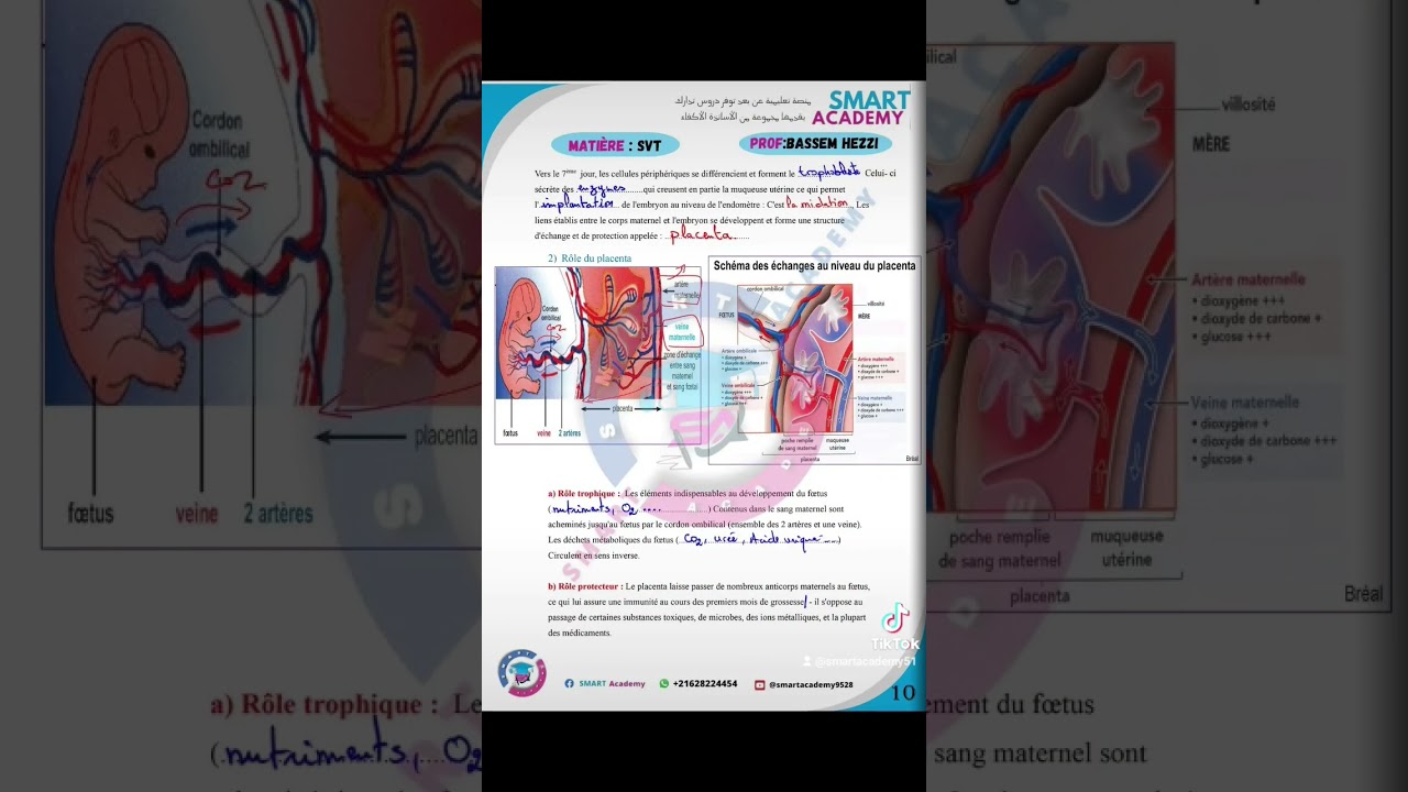 La Procr&eacute;ation BAC SCIENCES