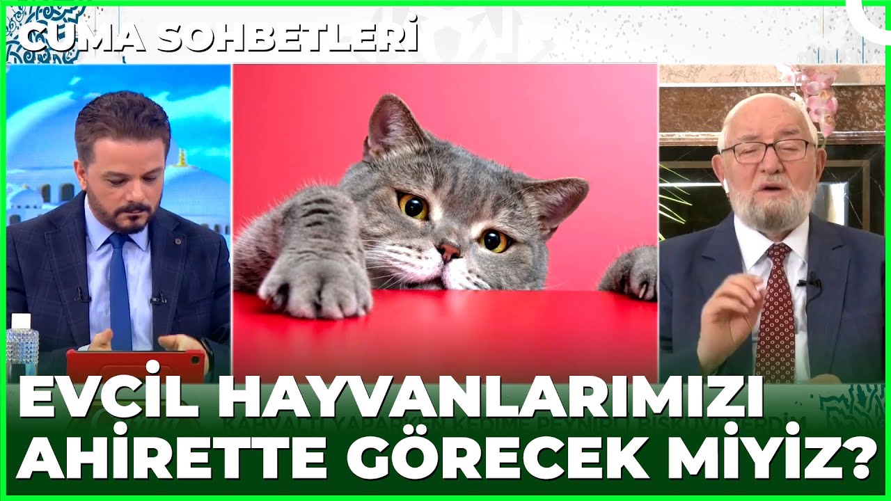 Kedim Yedirdiğim Bisküvi Yüzünden Öldü | Cuma Sohbetleri