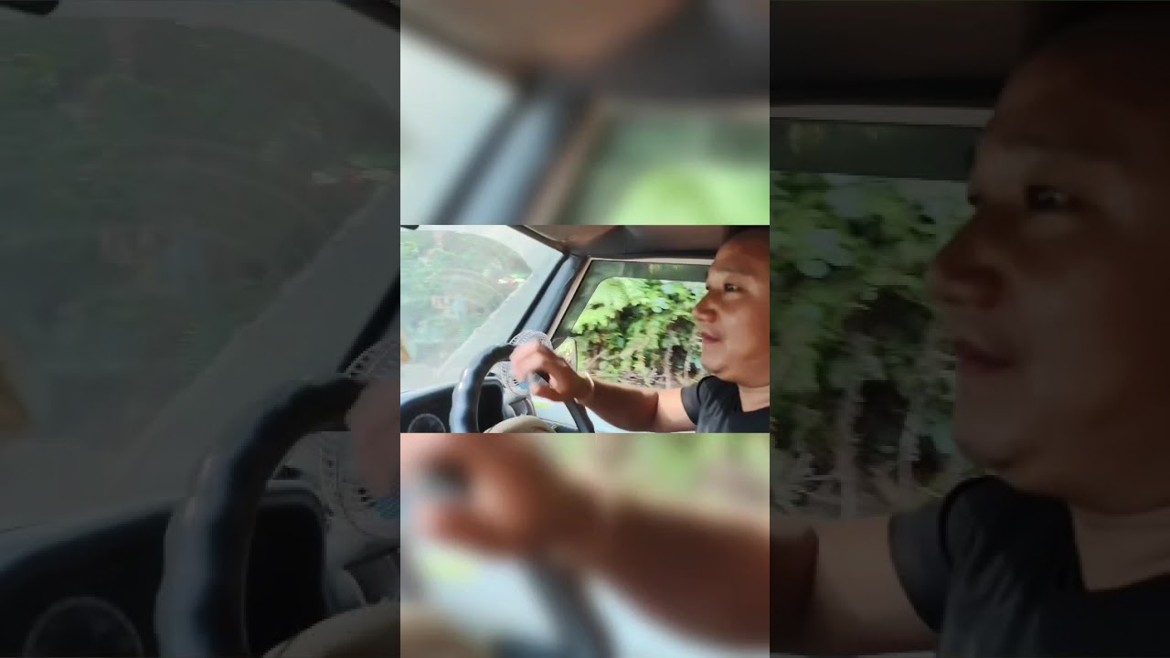 Collection Kacchu patta(Rigyo) from the jungle for piggery #Darka village