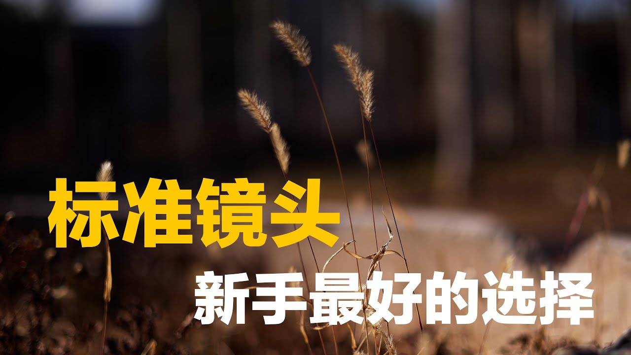 标准镜头，新手最好的选择