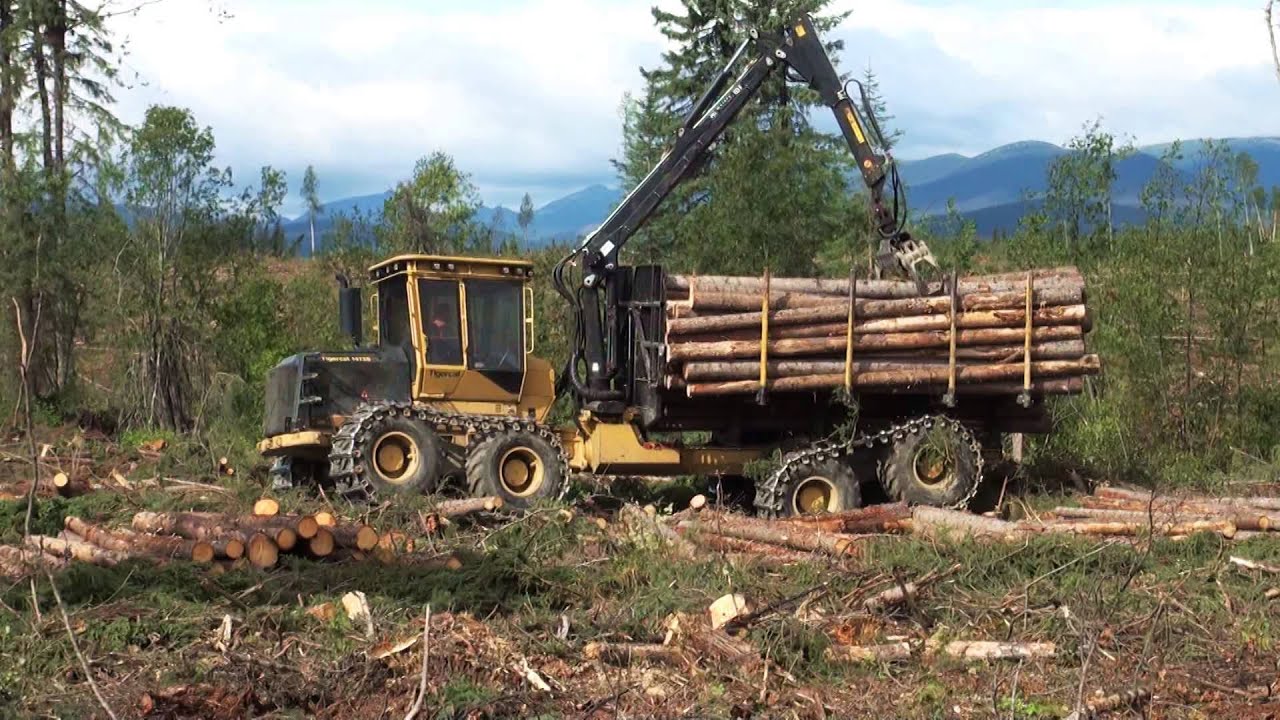 Tigercat 1075B forwarder