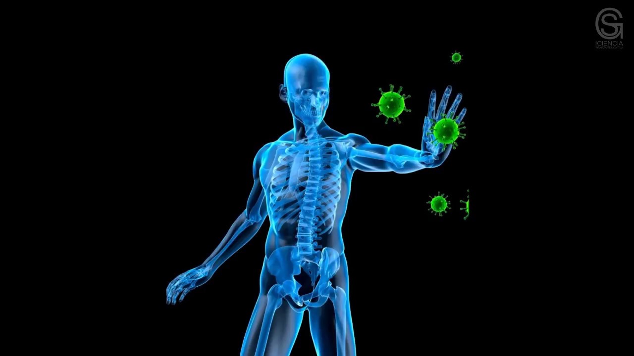 Historia de la Inmunología