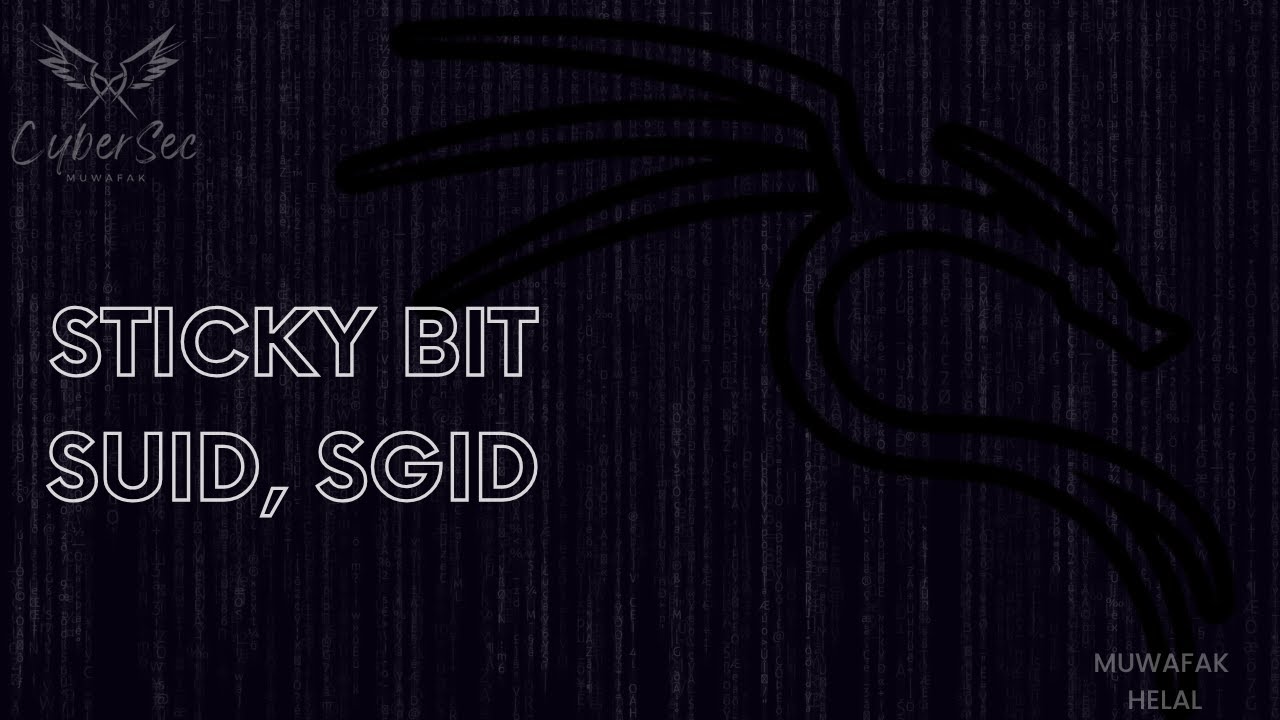 19 - Sticky Bit -SUID-SGID - Linux course in Arabic