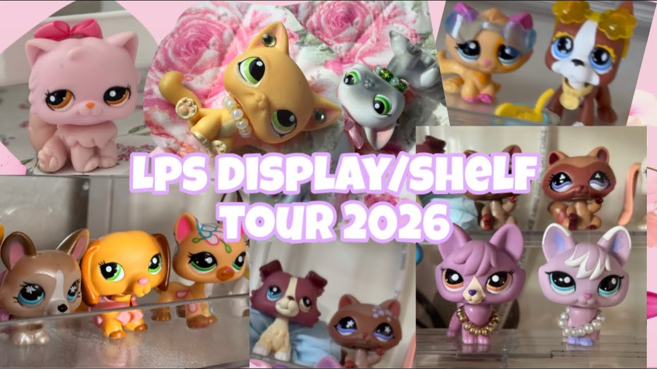 Lps display/collection tour 2026 | All my shelf’s & Lps displays! 