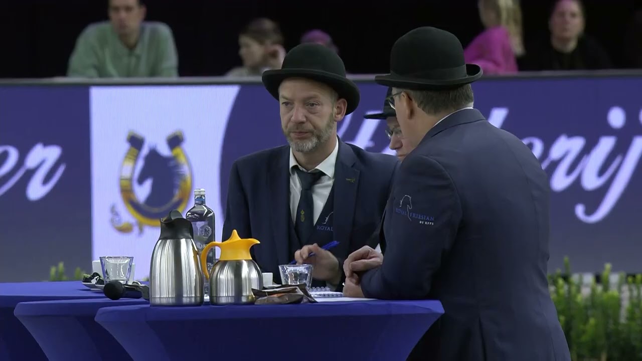 HK 2026 - Rubriek 2 - Keuring van de ingeschreven stamboekhengsten van 13 jaar en ouder
