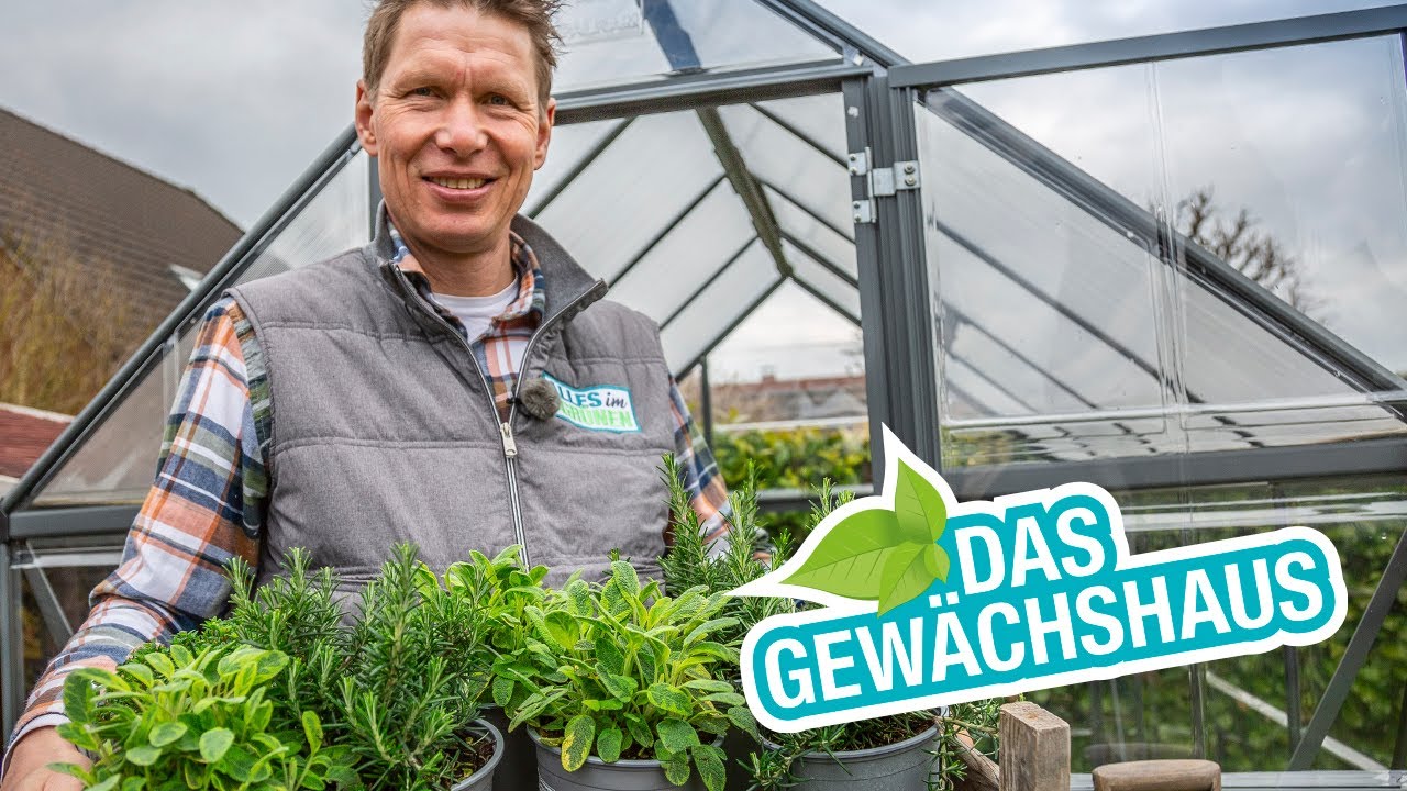Das #Gewächshaus: Bepflanzen und bewässern
