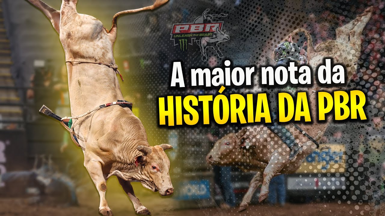 O touro Man Hater conquistou a MAIOR NOTA da história da PBR