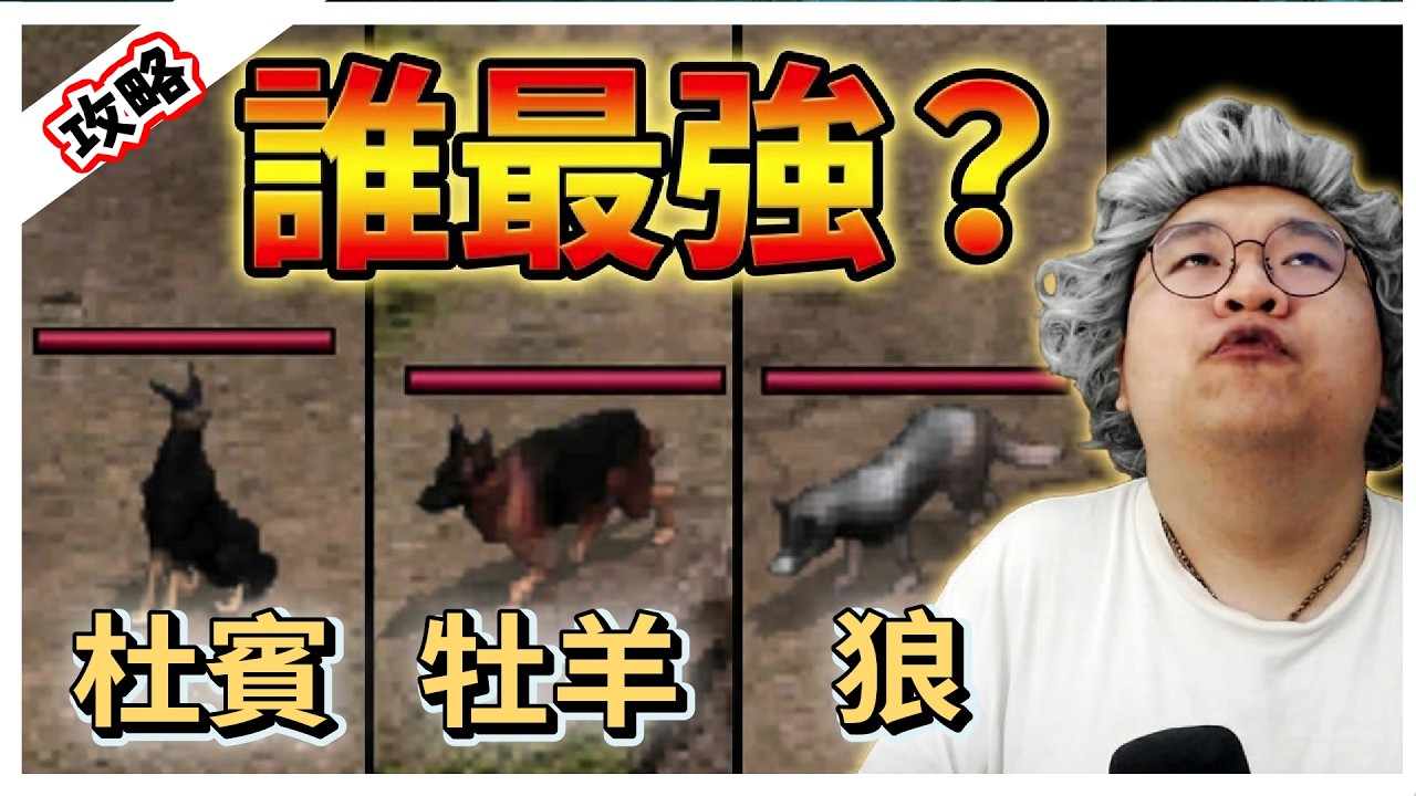 【 天堂經典版】杜賓、牧羊、狼誰最強？實測數據：高等狗竟然跟 5 等一樣？｜ 經典攻略｜LineageClassic 리니지 클래식｜祥可可｜#天堂經典版 #ncsoft