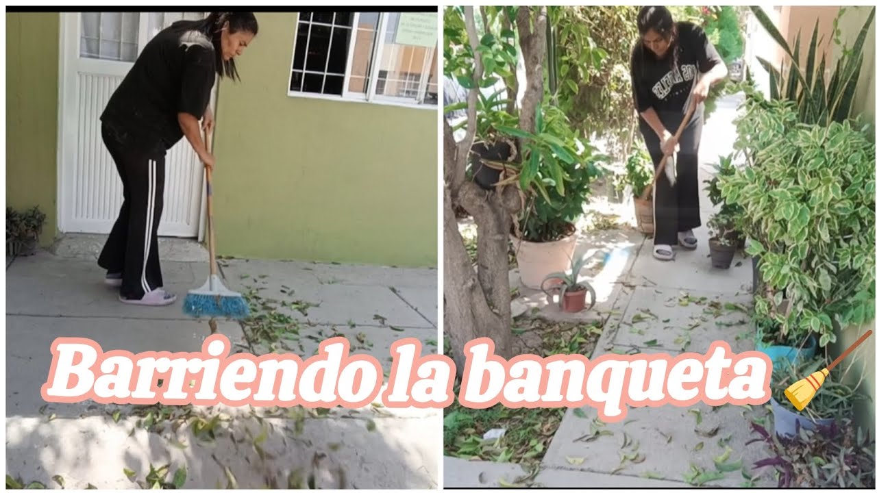 Me acompañas a  barrer 🧹 mi banqueta?