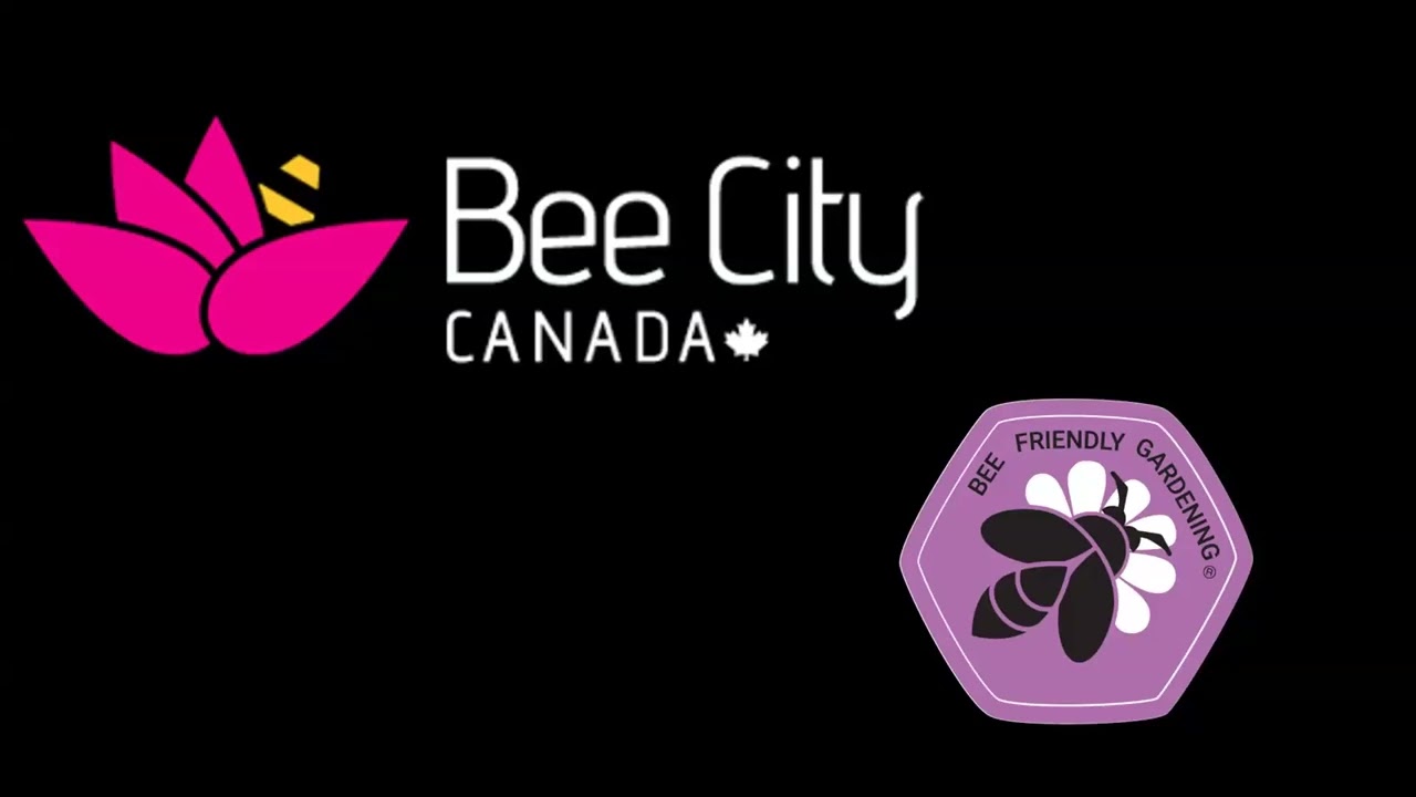 Creating Pollinator Habitat Through BFG