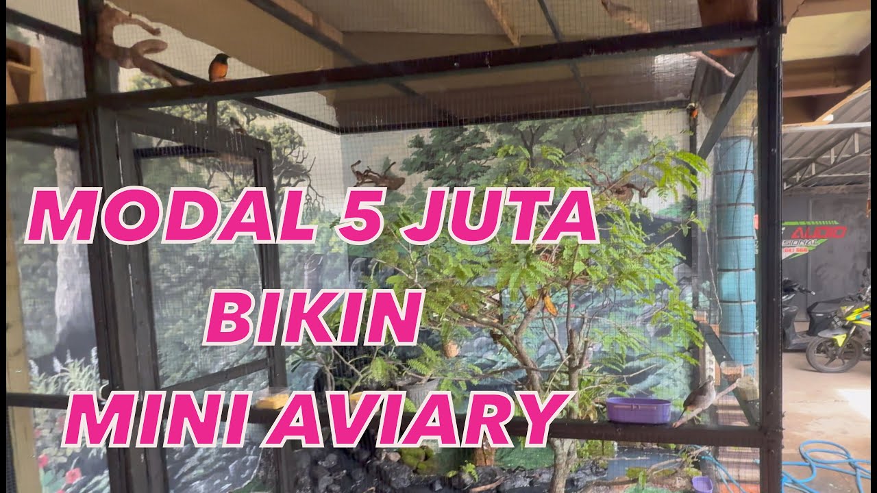 MODAL 5JT AN SUDAH MENJADI MINI AVIARY
