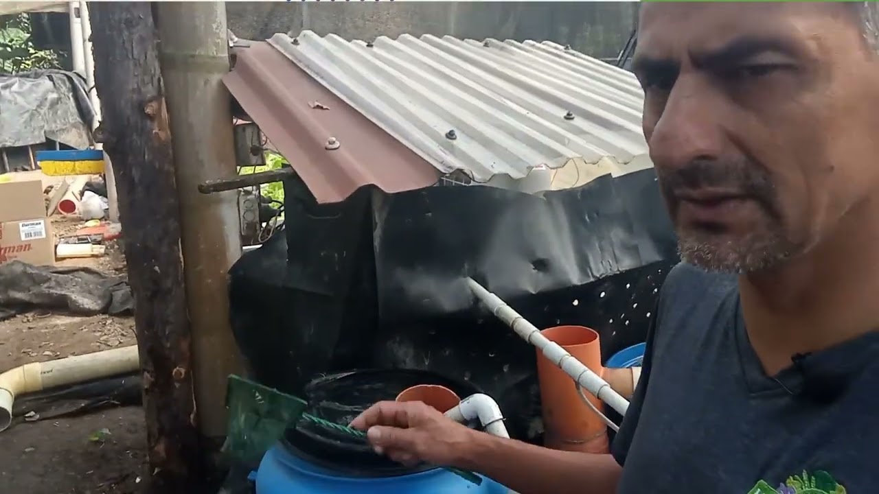 Acuaponía Simplificada Desbalanceada, más peces que plantas recomendadas