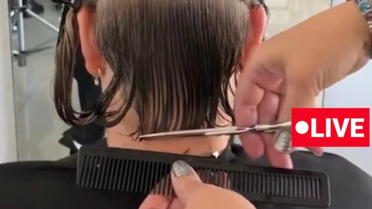 STUNNING Haircuts by Vivyan Hair Design! 💜✨🤩 #haircut #hairstyle #shorthair #longhair #hairtutorial