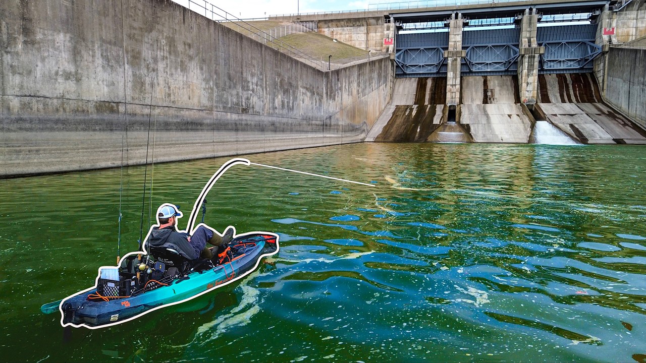 TWO of the BIGGEST Fish I've EVER Caught were in This Spillway!!! (River Monsters)