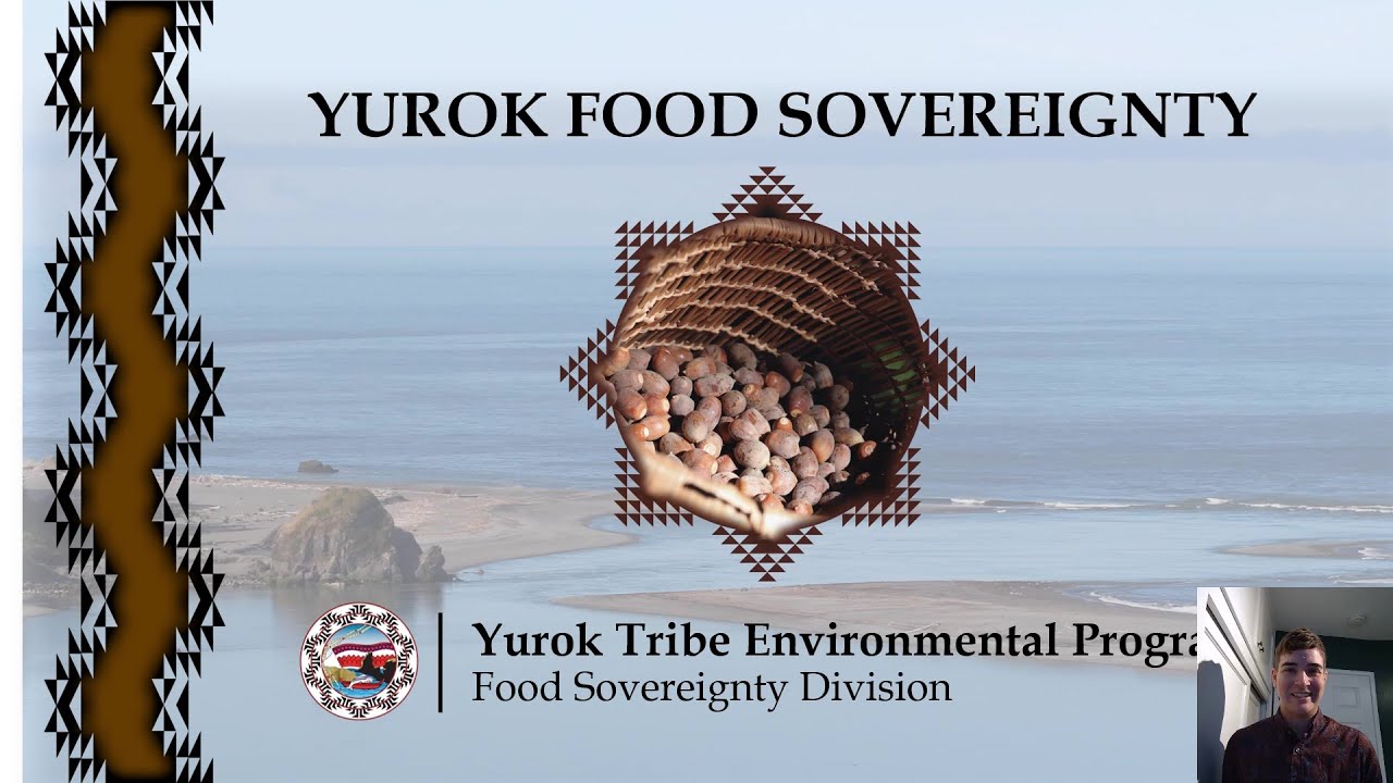 Yurok Tribe Food Sovereignty by Taylor Thompson