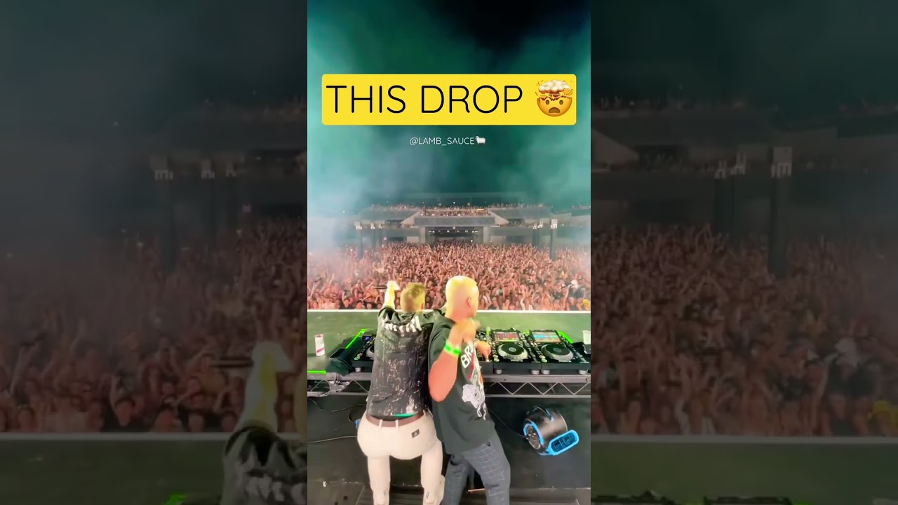 * THE DROP * 🤯 #drop #musicdrops #edmmusic #housemusic #shorts #festival #concert #livemusic #duo