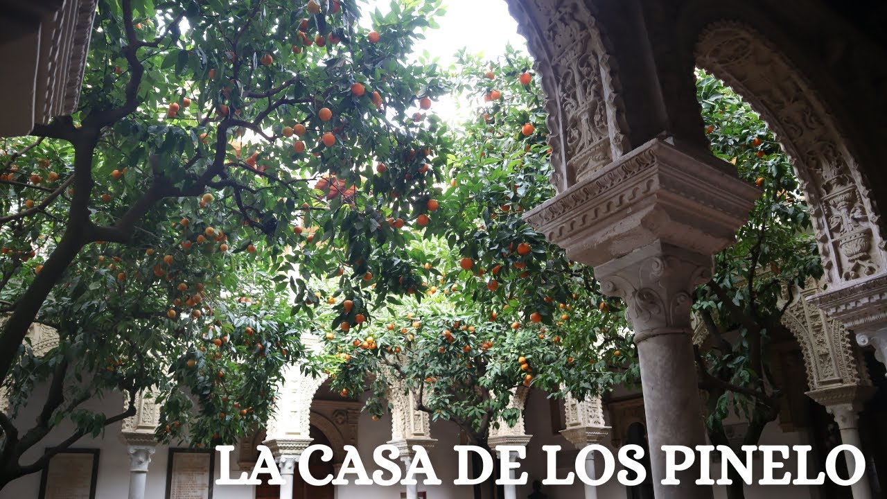 Una casa con mucha historia, la CASA de los PINELOS.