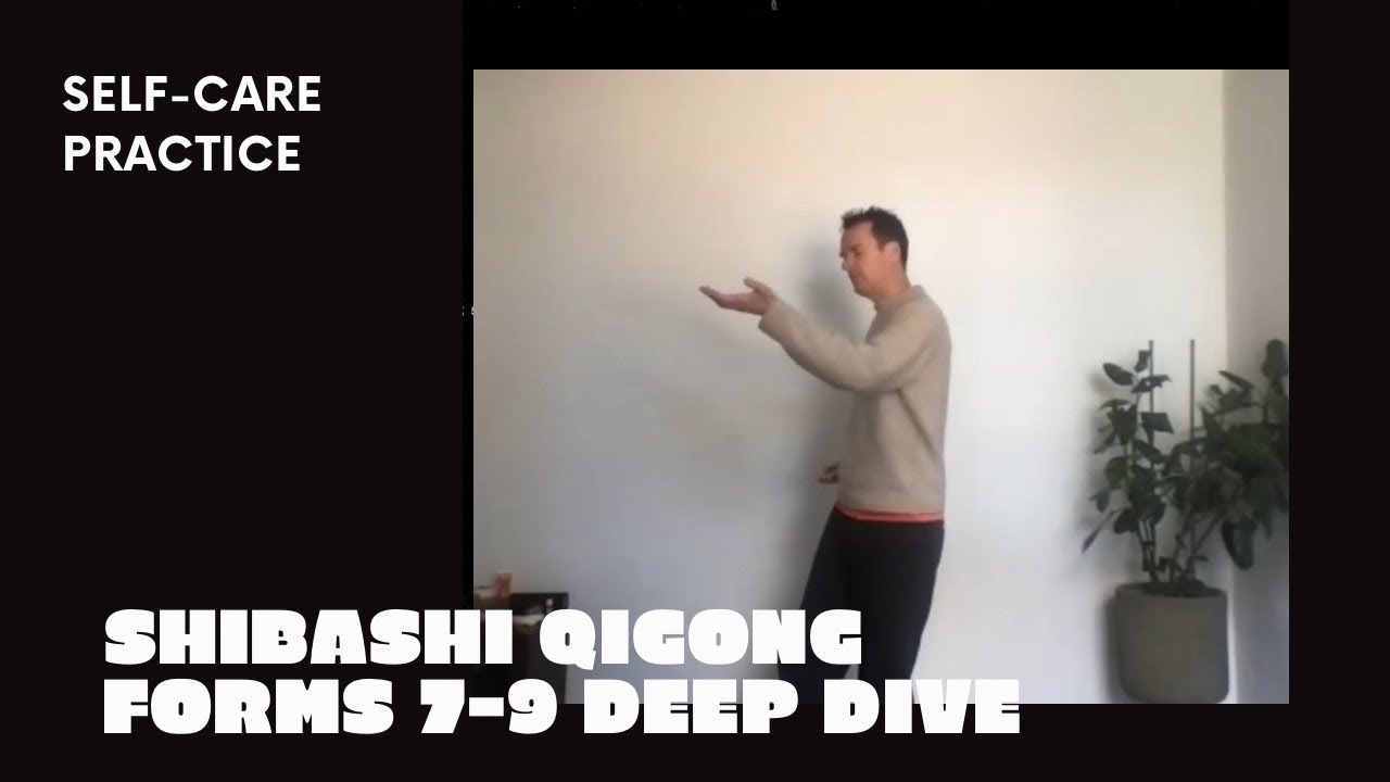 Shibashi forms 7 9 deep dive