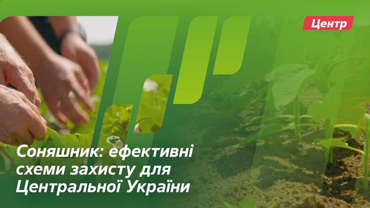 Соняшник: ефективні схеми захисту для Центральної України // Досвід. Байєр АгроАрена Центр