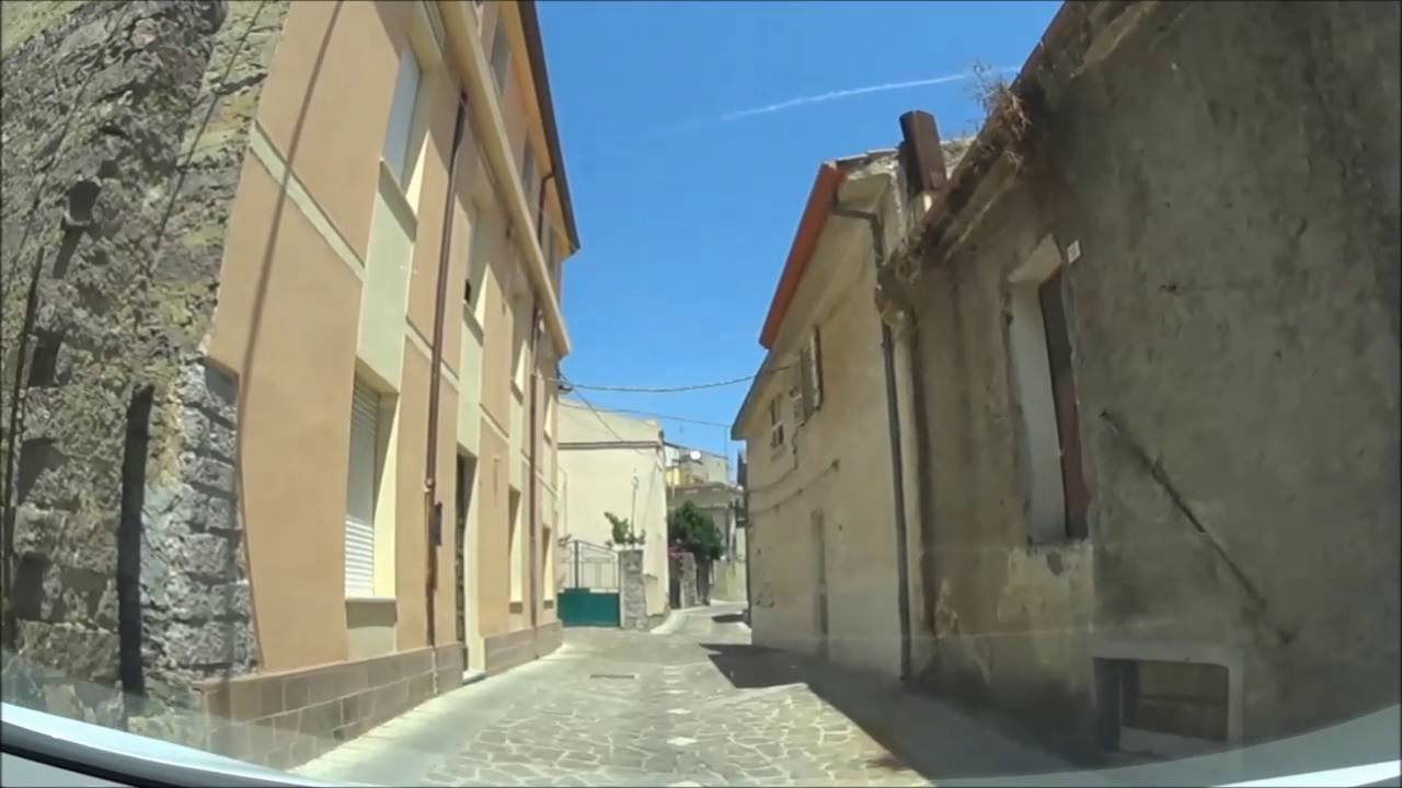ONIFERI slow motion