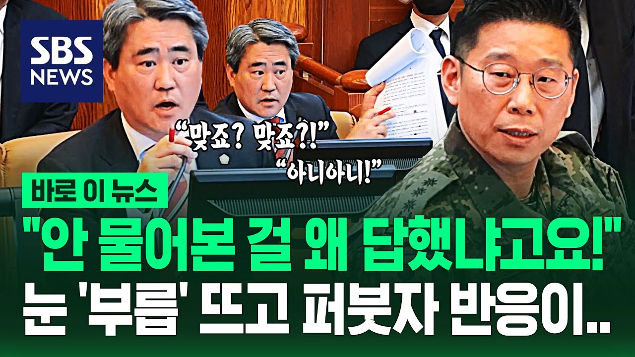 헌재가 부른 '유일한 증인' 입 열자 '발칵'...