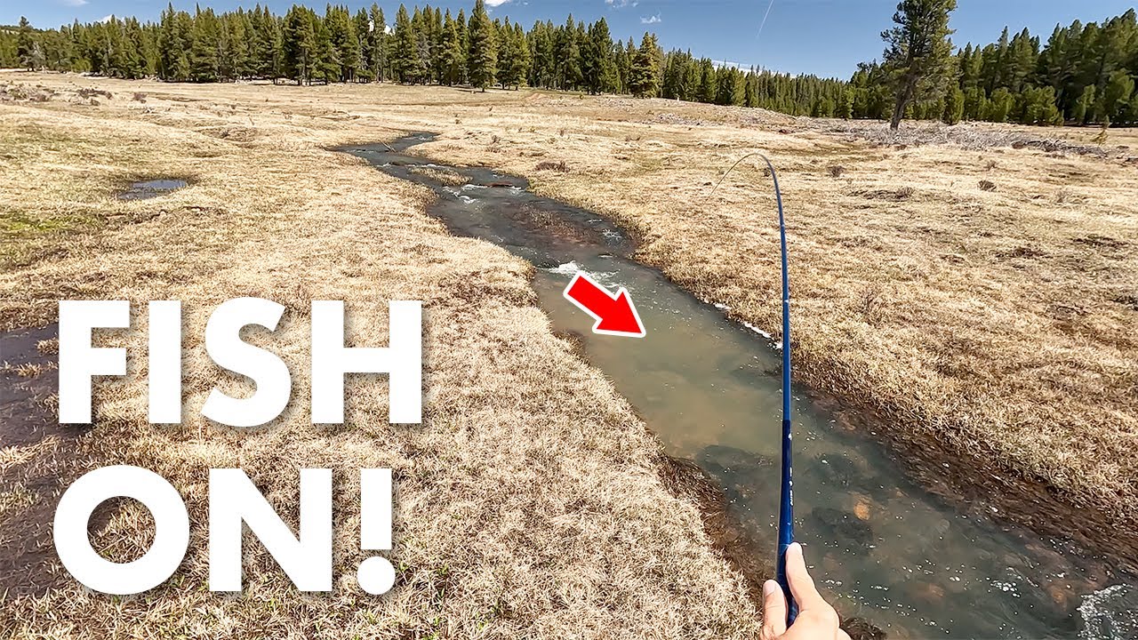 Fishing a Dirty, Shallow Mountain Ditch! (Tenkara Fly Fishing)