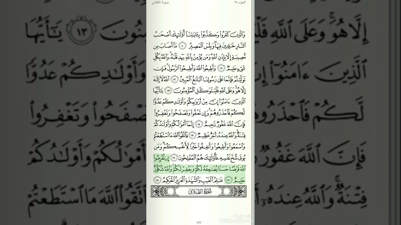 الحزب ٥٦ من القرآن الكريم الشيخ سعود الشريم