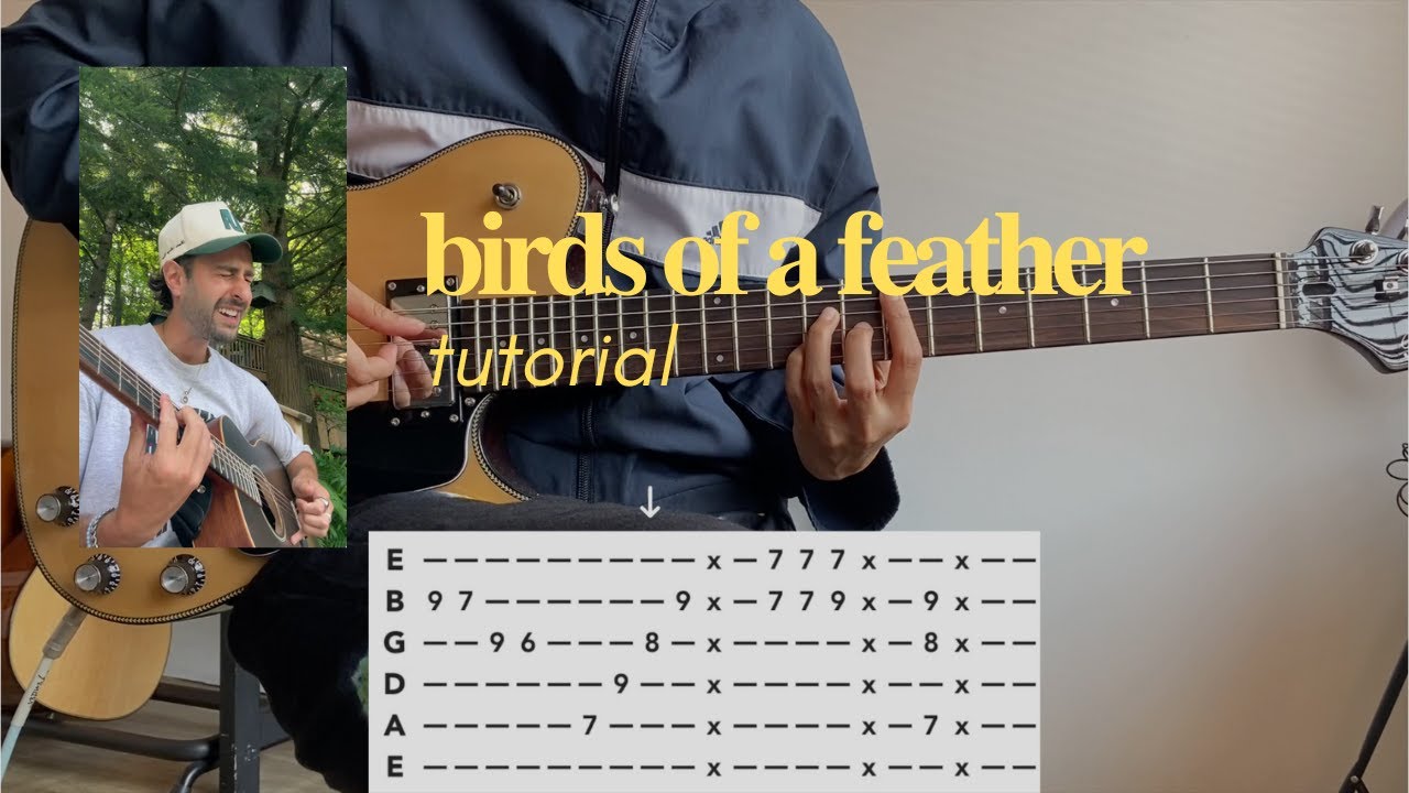 bird of a feather guitar tutorial fingerstyle inspired by jesse gold